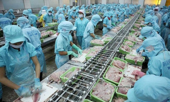 Tổng kim ngạch xuất khẩu nông, lâm, thủy sản ước trên 44,9 tỷ USD