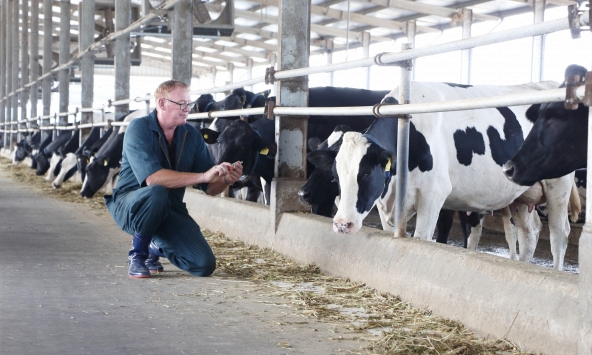 Nova Consumer đẩy mạnh phát triển trang trại