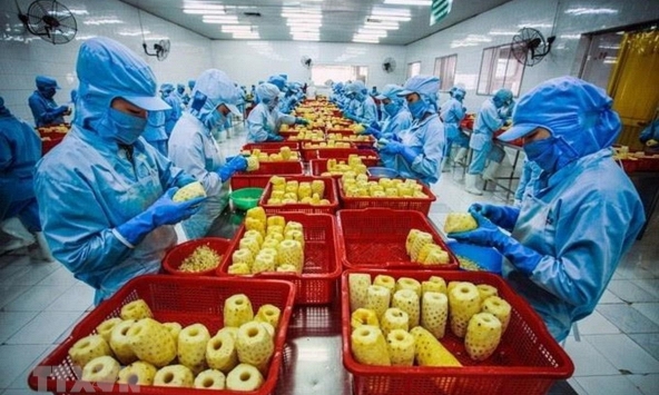 Xuất khẩu nông sản đạt 82,1 tỷ USD trong 10 tháng