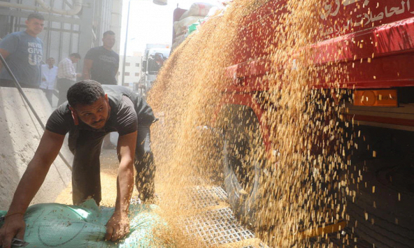 5 sự thật về ngũ cốc và cuộc chiến ở Ukraina