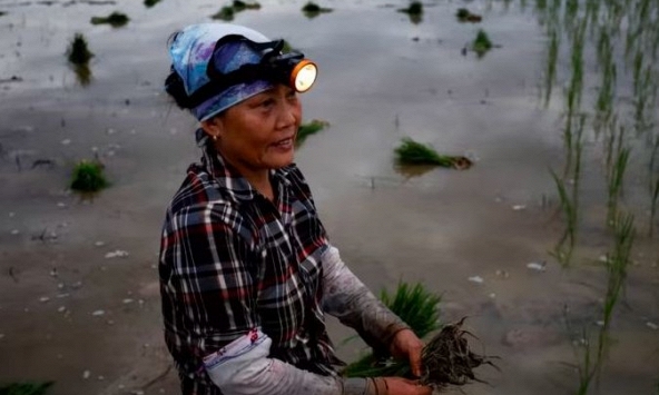 Lượng khí thải metan lên mức báo động làm tăng gánh nặng cho châu Á tại COP27