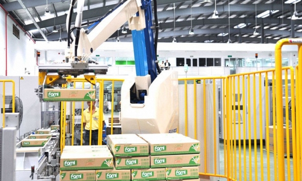 Khuyến nghị cổ phiếu 11/11: HPG, QNS, BIC, VNM, DGC