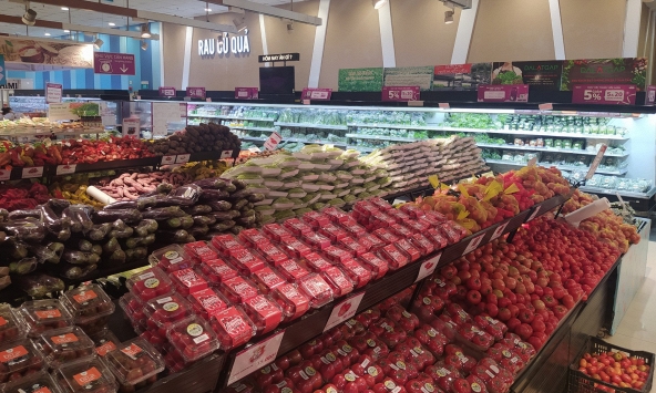 Giá cà chua tăng cao do nguồn cung khan hiếm