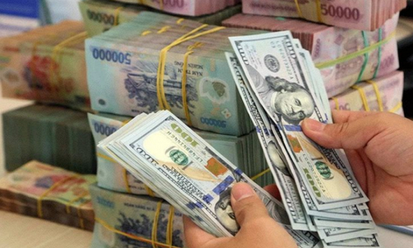 Đồng bạc xanh phục hồi sau nhiều phiên giảm mạnh