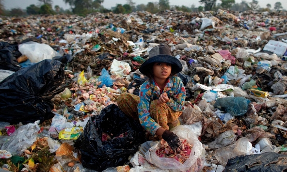 Nhân loại đang lãng phí 1,3 tỷ tấn thực phẩm mỗi năm, đủ nuôi sống hơn 800 triệu người