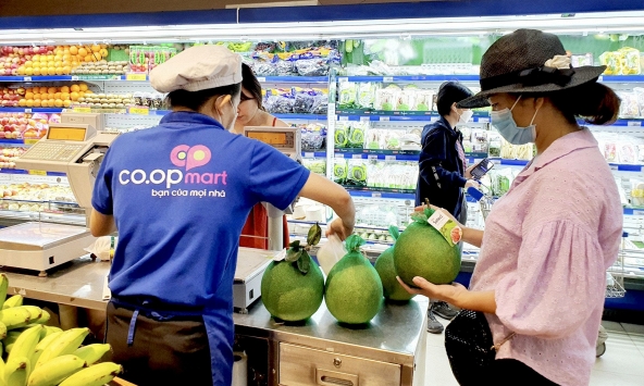 Giá một số lại trái cây có múi bắt đầu giảm