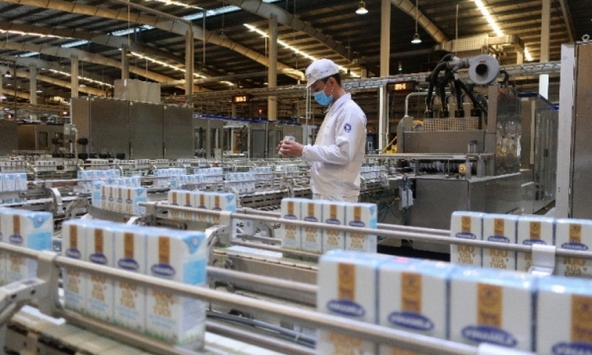 Khuyến nghị cổ phiếu 18/11: VIB, DBC, VNM, POW