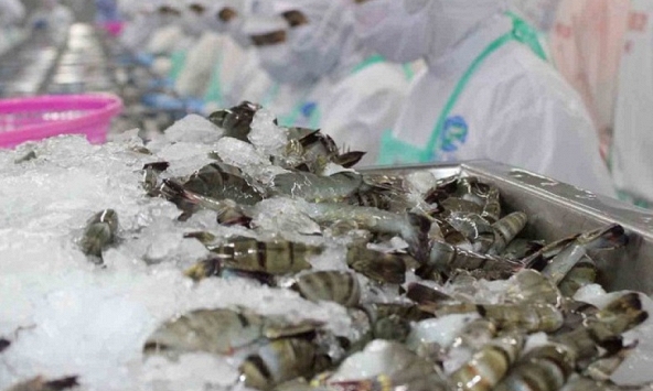 Xuất khẩu thủy sản 10 tháng năm 2022 tăng mạnh