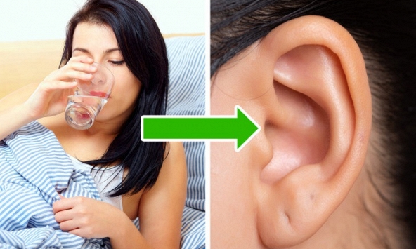 Làm thế nào để giữ cho đôi tai luôn sạch sẽ?