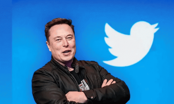 Elon Musk sẽ 'đại ân xá' cho các tài khoản Twitter bị khóa vào tuần tới