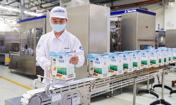 Khuyến nghị cổ phiếu 29/11: VNM, DGC, PC1, MWG, BMI