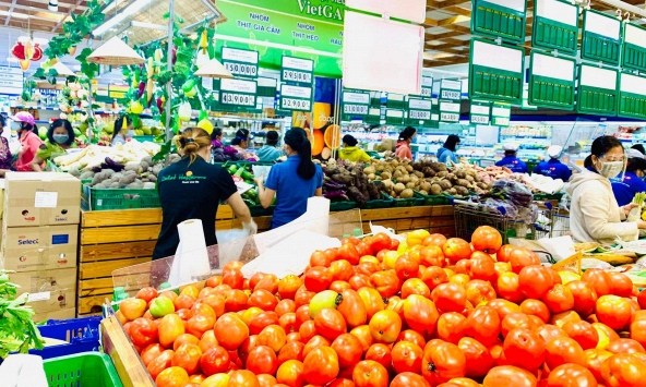 Cà chua bất ngờ rớt giá xuống dưới 10.000 đồng/kg