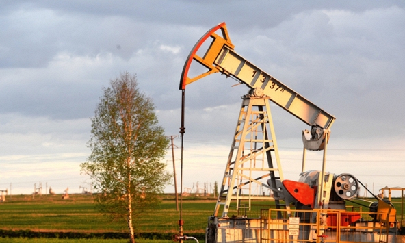 Giá xăng dầu ngày 8/12: Dầu thô tiếp tục lao dốc