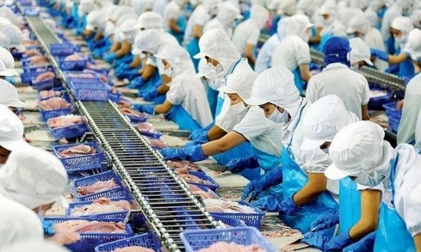 Khuyến nghị cổ phiếu 15/12: VRE, VHC, CTD, TCM, KSB