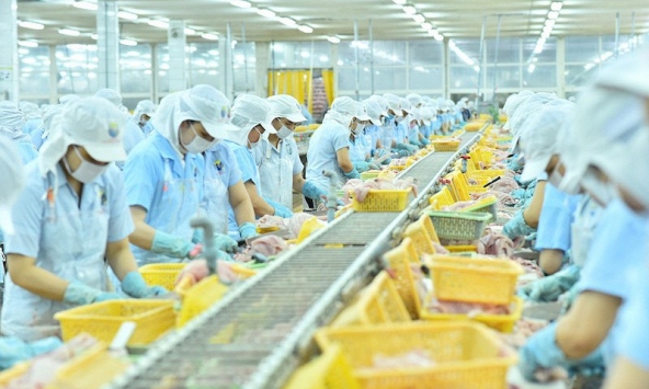 Khuyến nghị cổ phiếu 16/12: MSN, VNM, VHC, ANV, TLG