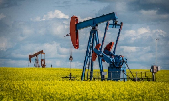 Giá xăng dầu ngày 16/12: Dầu Brent có dấu hiệu suy yếu