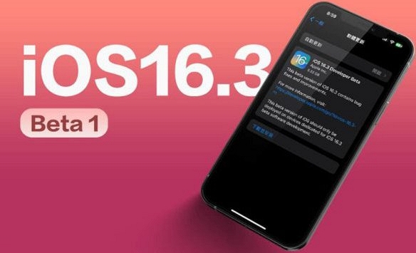 Apple bất ngờ tung ra iOS 16.3 beta 1 với nhiều tính năng mới