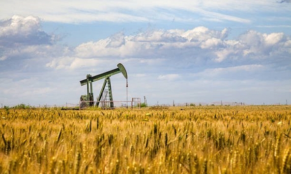 Giá xăng dầu ngày 17/12: Dầu thô trượt giá do nhu cầu suy yếu