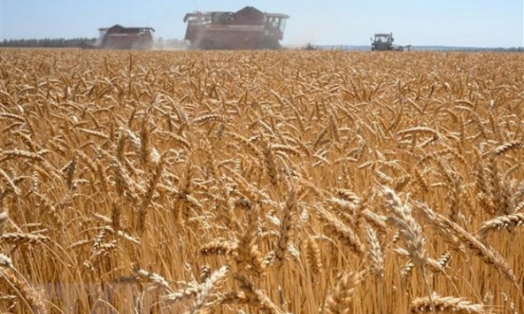 Châu Á giải quyết các vấn đề về lương thực và năng lượng như thế nào?