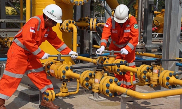 Giá gas ngày 22/12: Phục hồi sau 3 phiên giảm liên tiếp