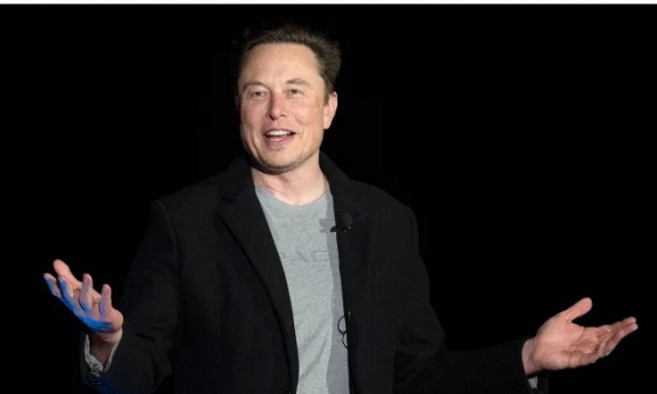 Elon Musk nói gì sau khi giá cổ phiếu Tesla tiếp tục lao dốc?