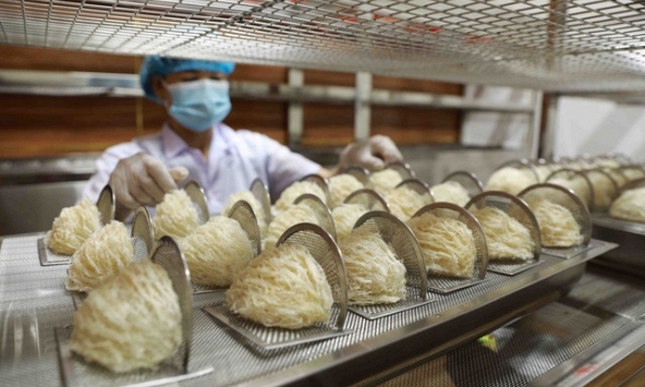 Cách đăng ký xuất khẩu tổ yến sang Trung Quốc