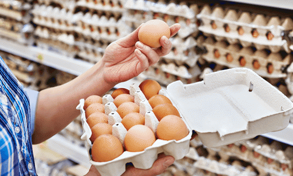 Giá trứng gia cầm ở Mỹ tăng 'chóng mặt' trong năm 2022