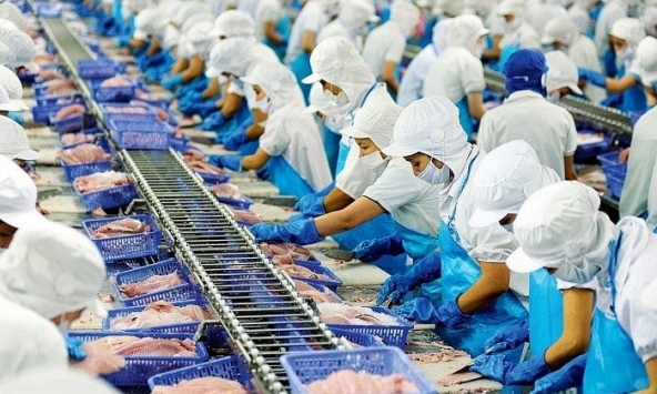 Việt Nam trở thành nước xuất khẩu thủy sản lớn thứ 3 thế giới