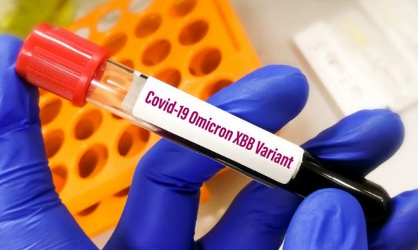 Biến thể phụ XBB1.5 của Omicron có thực sự nguy hiểm?