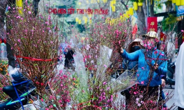 Chuyên gia nhận định thời tiết Tết Quý Mão 2023