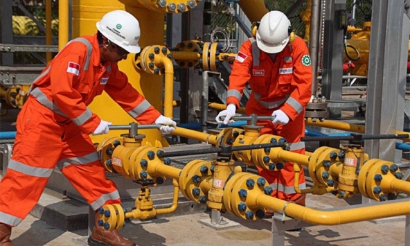 Giá gas ngày 30/1: Xu hướng tăng?