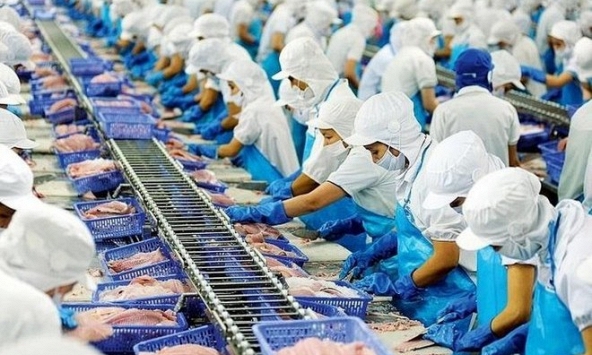 Khuyến nghị cổ phiếu 16/2: NLG, PVD, VHC, SAB, DGW