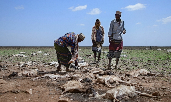 Thế giới có thể đối mặt với nguy cơ thiếu nước sạch và thức ăn do biến đổi khí hậu