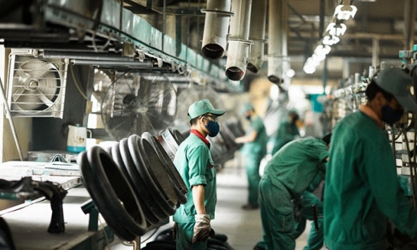 Khuyến nghị cổ phiếu 23/2: MWG, DRC, NT2, VHM, VNM