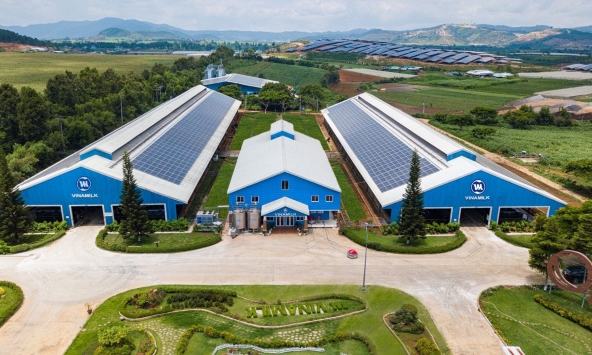 Câu chuyện 'cắt giảm, chuyển đổi và hấp thụ' hướng đến Net Zero tại Vinamilk