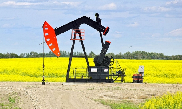 Giá xăng dầu 23/2: Dầu thô giảm phiên thứ 3 liên tiếp