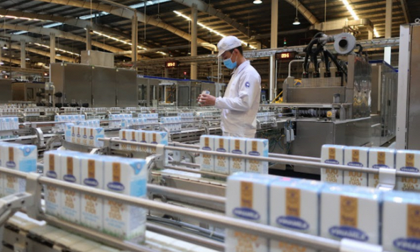 Khuyến nghị cổ phiếu 1/3: VCB, VNM, BAF, NT2