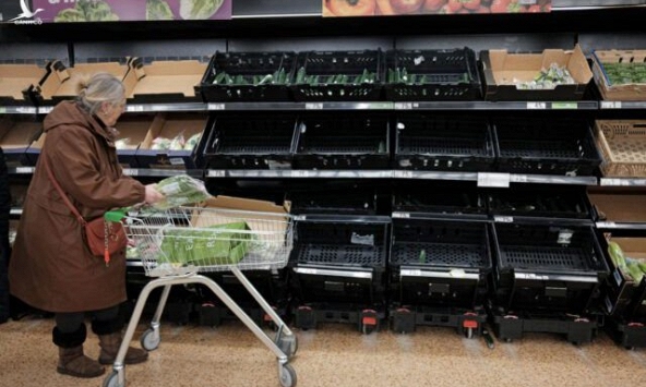 Vương quốc Anh đang vật lộn với tình trạng thiếu rau, chuyện gì đang xảy ra?