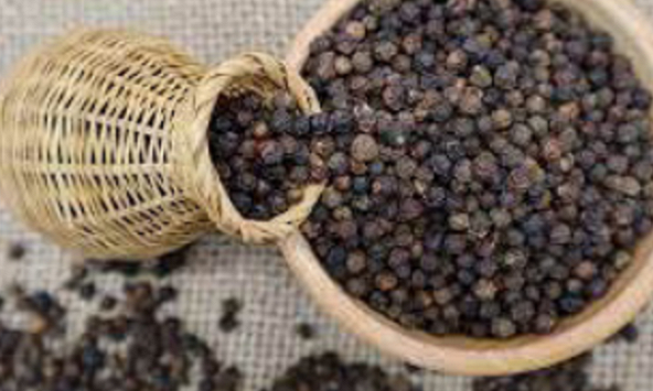 Giá hồ tiêu được dự báo phục hổi nhanh