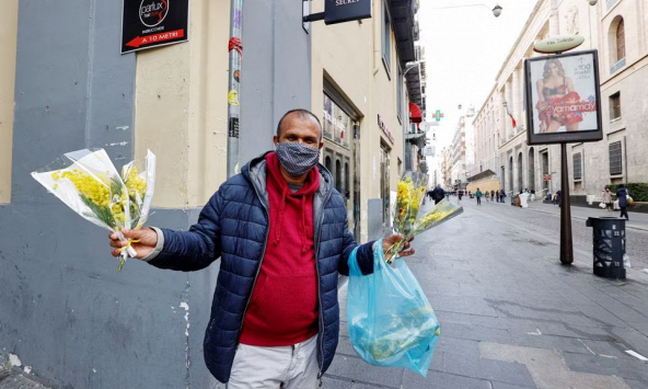 Italy cạn kiệt hoa mimosa cho Ngày Quốc tế Phụ nữ 8/3 vì hạn hán