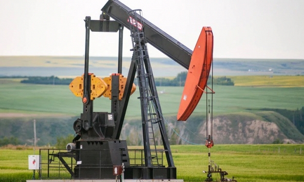 Giá xăng dầu ngày 8/3: Dầu thô liên tục trượt dốc