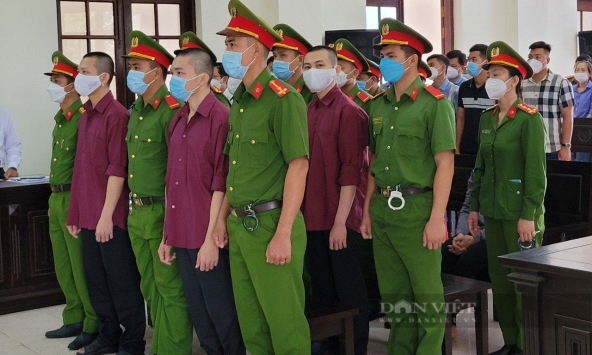 Một luật sư bào chữa vụ Tịnh thất Bồng Lai bị điều tra