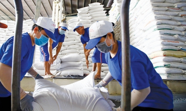 Trung Quốc có thể đẩy mạnh nhập khẩu gạo