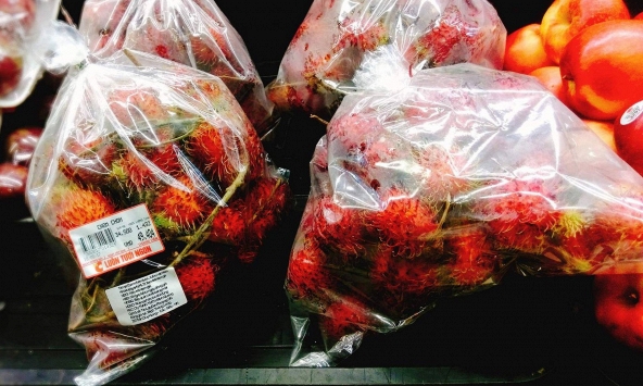 Trồng chôm chôm nghịch mùa, nông dân phấn khởi vì giá cao