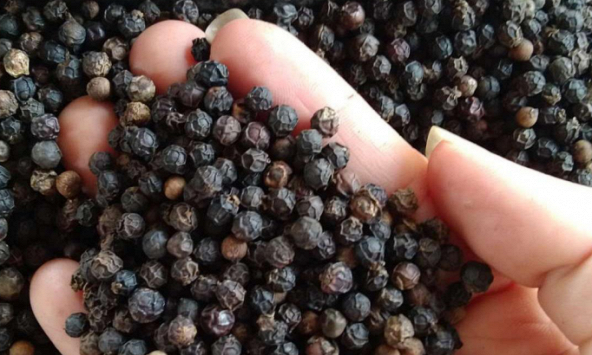 Thị phần hồ tiêu Việt Nam tại Mỹ chiếm tới hơn 80%