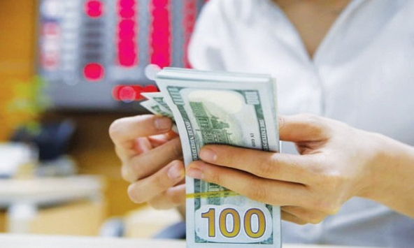 Doanh nghiệp ngoại kiến nghị NHNN bỏ trần tín dụng và lãi suất tiền gửi USD