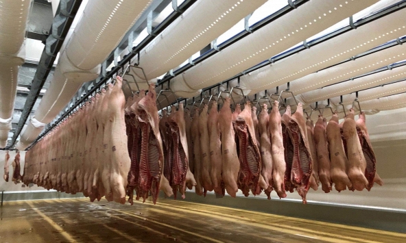 Lào tạm ngừng nhập khẩu thịt lợn từ Việt Nam