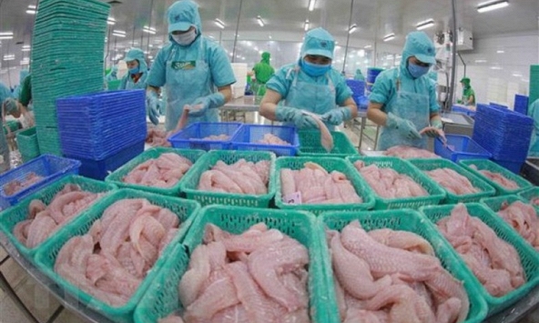 Dự báo tích cực với thủy sản xuất khẩu vào Trung Quốc