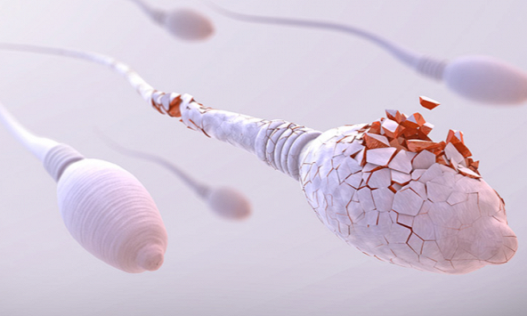 WHO cảnh báo cứ 6 người trưởng thành có 1 người bị vô sinh