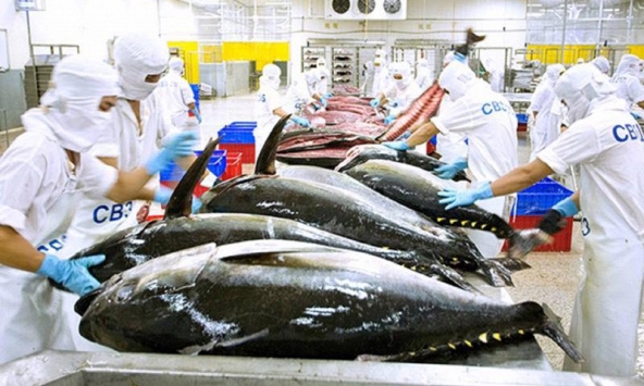 Xuất khẩu thủy sản tiếp tục giảm